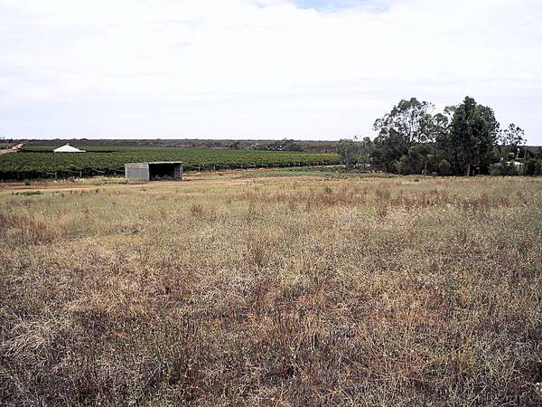 OVER 1 1/4 ACRES WITH MAGNIFICENT VIEWS Picture 1