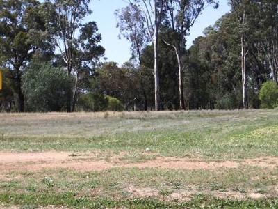 SEMI RURAL 1 ACRE LOT Picture