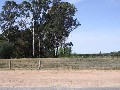 SEMI RURAL 1 ACRE LOT Picture