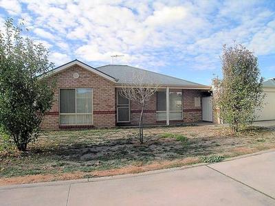 ATTENTION ALL INVESTORS Picture