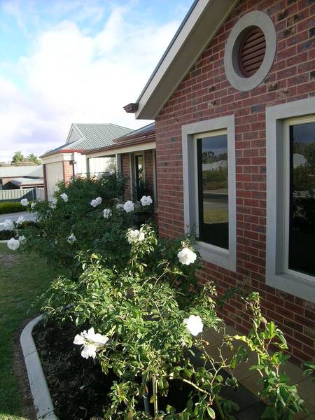 ABSOLUTE QUALITY Picture ABSOLUTE QUALITY Picture