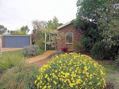 CALLING ALL SERIOUS INVESTORS Picture CALLING ALL SERIOUS INVESTORS Picture