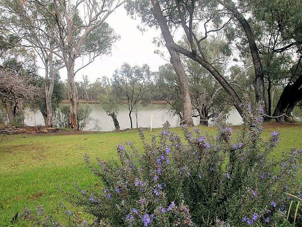 POSITION PERFECT - RIVER VIEWS TO MATCH Picture 1