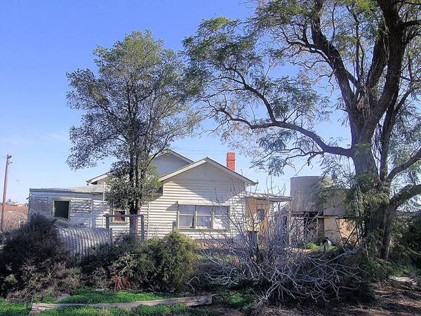 RENOVATORS DELIGHT Picture