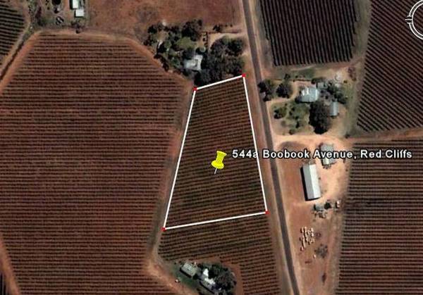 HORSES, CHOOKS, TRUCKS & MOTORBIKES Picture 1