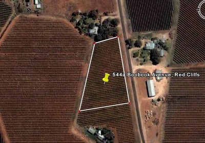 HORSES, CHOOKS, TRUCKS & MOTORBIKES Picture HORSES, CHOOKS, TRUCKS & MOTORBIKES Picture