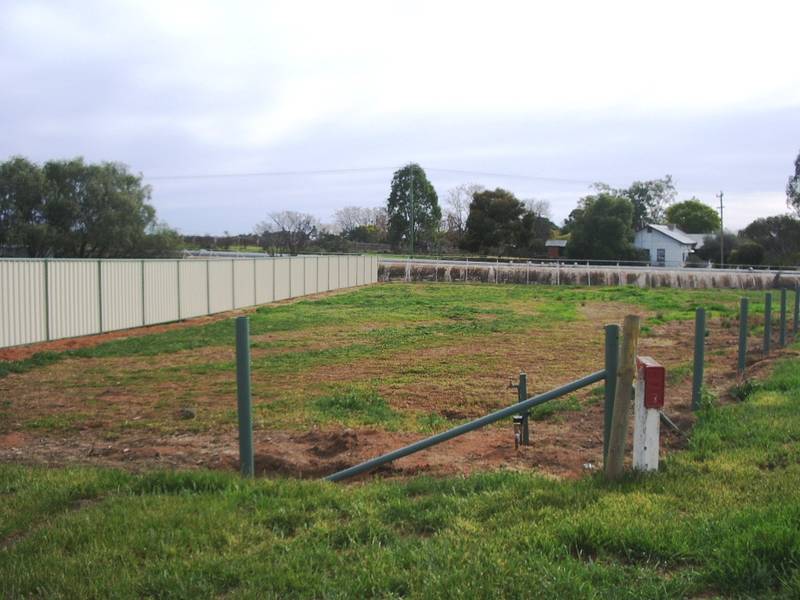 BEST VALUE LAND IN SUNRAYSIA Picture 1