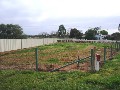 BEST VALUE LAND IN SUNRAYSIA Picture