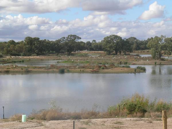 OWNER SAYS SELL Picture 2