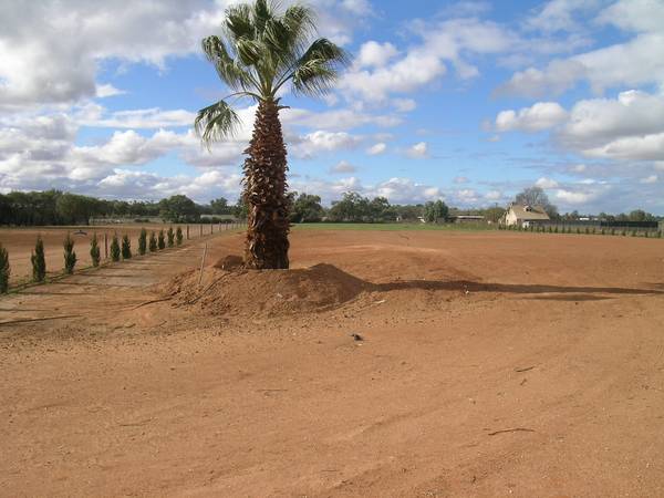 OWNER SAYS SELL Picture 3