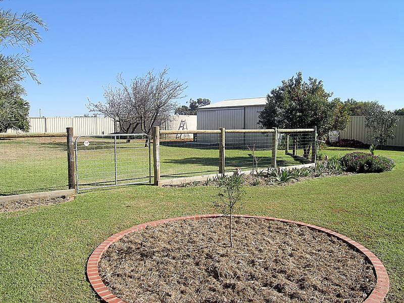 IT'S GOT THE LIFESTYLE FACTOR Picture