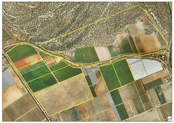 270HA IRRIGATED HORTICULTURAL HOLDING Picture 1