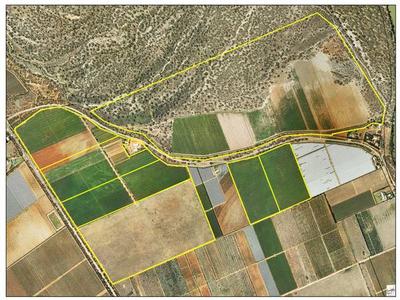 270HA IRRIGATED HORTICULTURAL HOLDING Picture