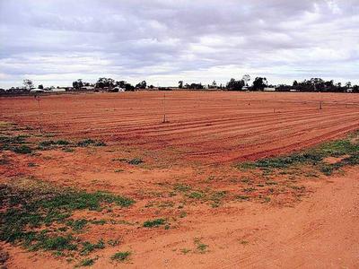 AFFORDABLE DREAM Picture AFFORDABLE DREAM Picture