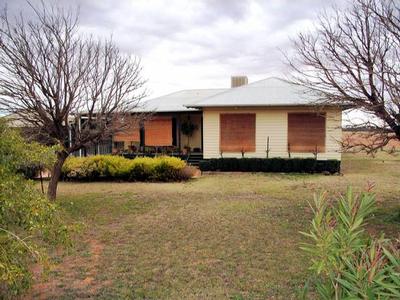 SHH!! DON'T SCARE THE BIRDS! Picture SHH!! DON'T SCARE THE BIRDS! Picture