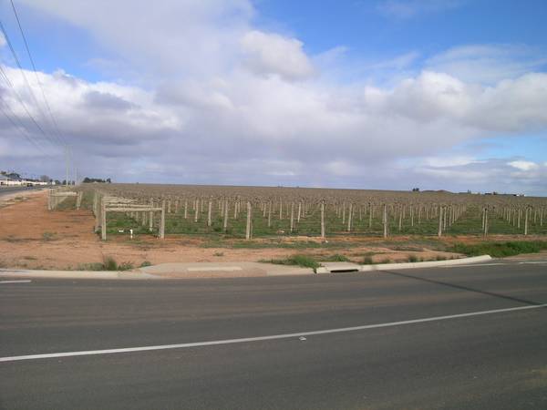 OUTSTANDING HORTICULTURAL & RESIDENTIAL DEVELOPMENT OPPORTUNITY Picture 3