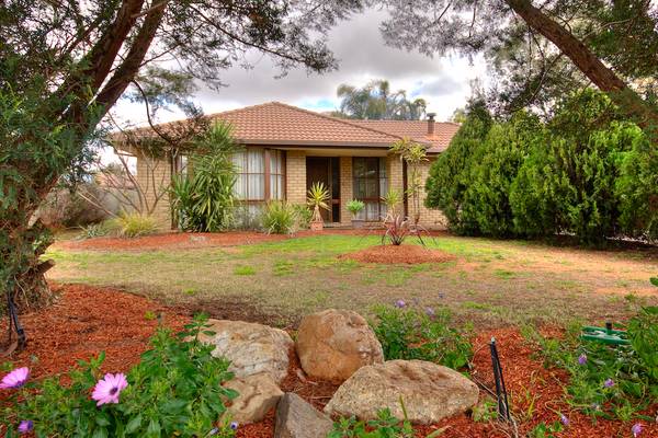 ABSOLUTELY IMMACULATE Picture 1