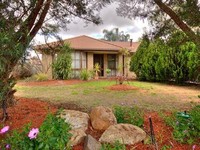 ABSOLUTELY IMMACULATE Picture