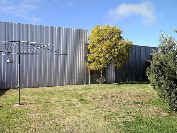 BEST OF BOTH WORLDS Picture