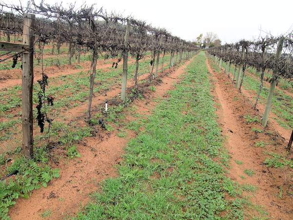 EXPRESSIONS OF INTEREST Picture 2