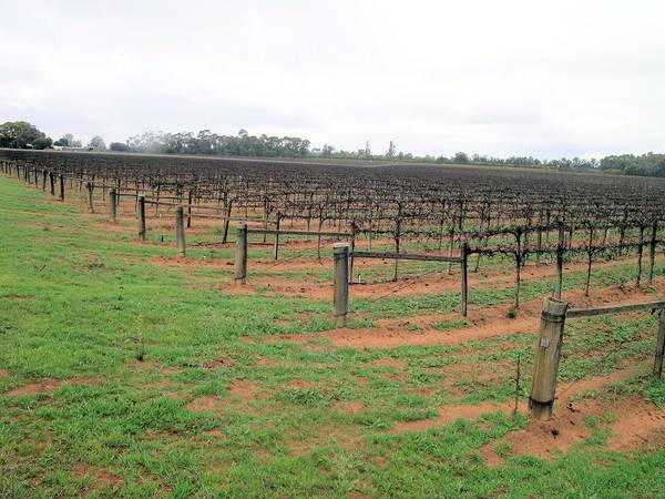 EXPRESSIONS OF INTEREST Picture 3