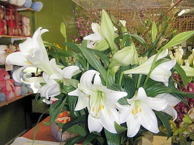 BLOOMING GOOD BUSINESS - MILDURA FLOWER STUDIO Picture