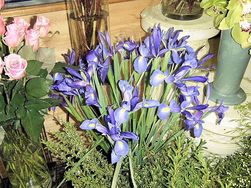 BLOOMING GOOD BUSINESS - MILDURA FLOWER STUDIO Picture 2