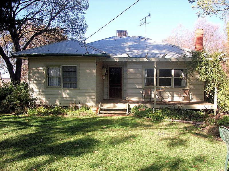 CITRUS AND VINES Picture 2