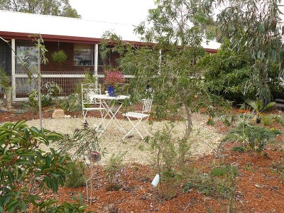 IF YOU LOVE ANIMALS? Picture