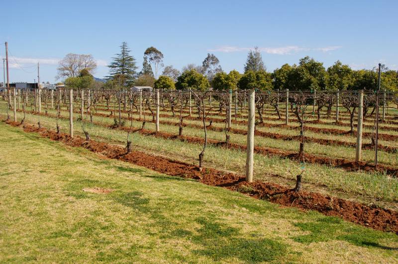 IDEAL LOCATION Picture 2