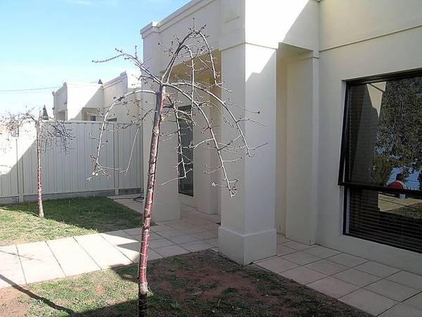 THE ULTIMATE TOWNHOUSE Picture 2