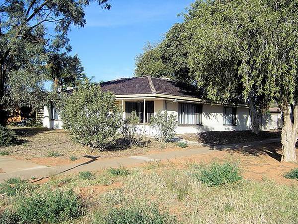 RENOVATED & ROOMY Picture