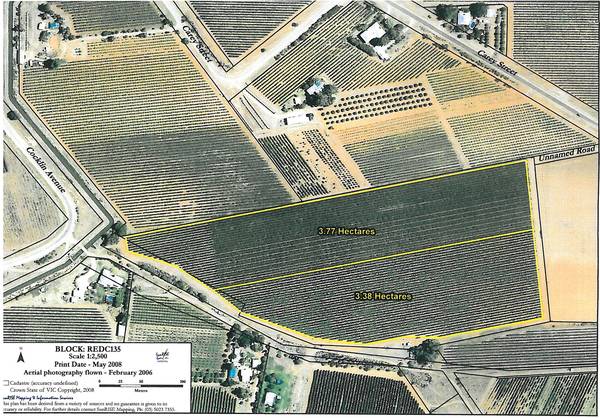 TOP WINEGRAPE VINEYARD Picture 1