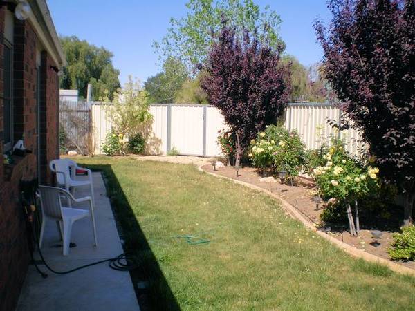 WONDERFUL INEVSTMENT Picture