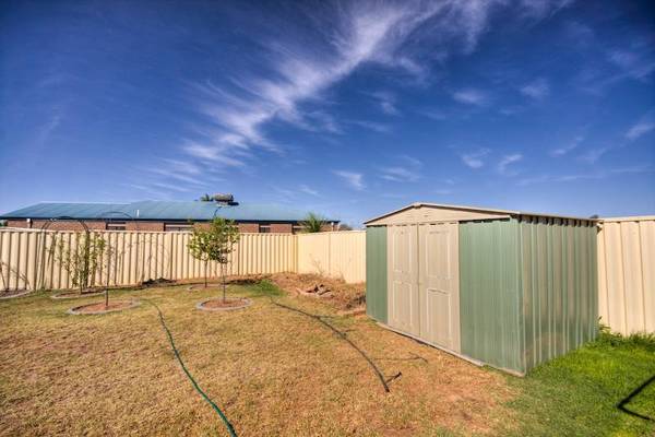 FAMILY SIZE LIVING Picture 3