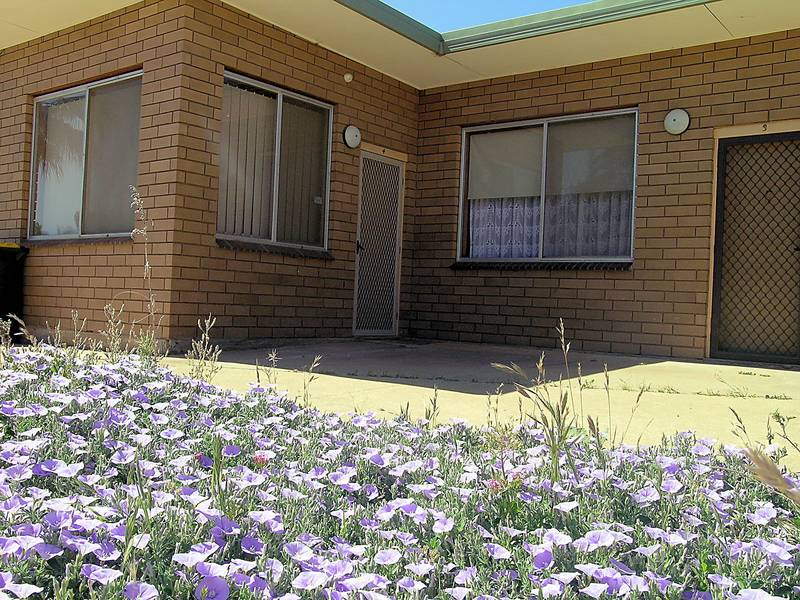 SMART FIRST INVESTMENT Picture