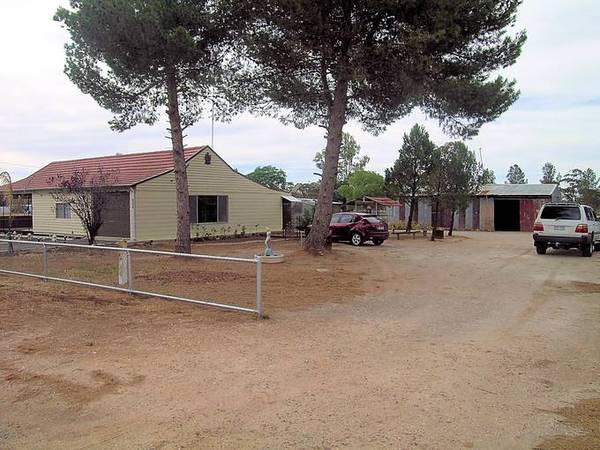 FEEL THE NEED FOR SPEED? Picture 2