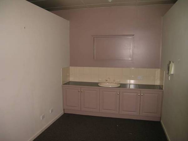 STARTER ON LANGTREE Picture 2