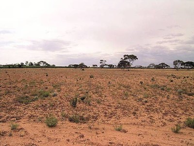 PRIVATE, PEACEFUL, PERFECT Picture