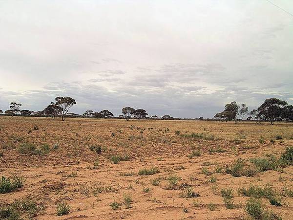 PRIVATE, PEACEFUL, PERFECT Picture 3