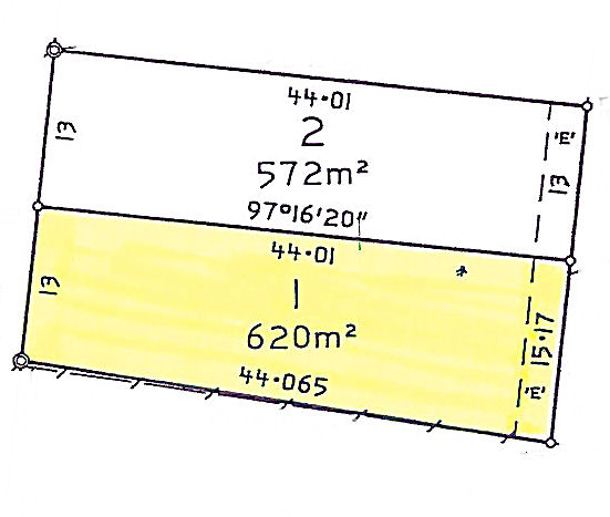 GREAT OPPORTUNITY Picture 2