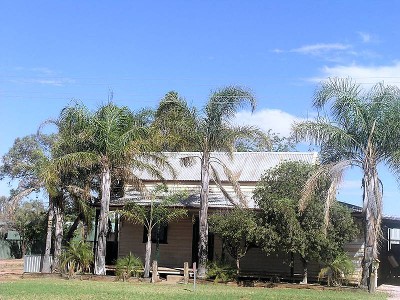 THE OPPORTUNITY TREE Picture