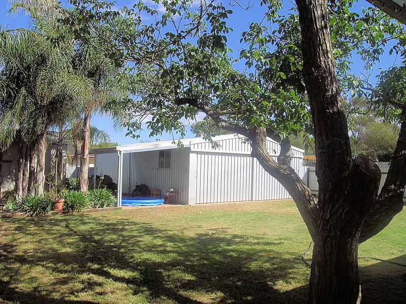 THE OPPORTUNITY TREE Picture 2