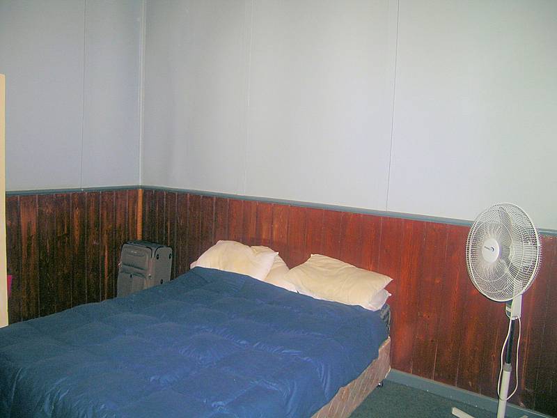 THE OPPORTUNITY TREE Picture 3