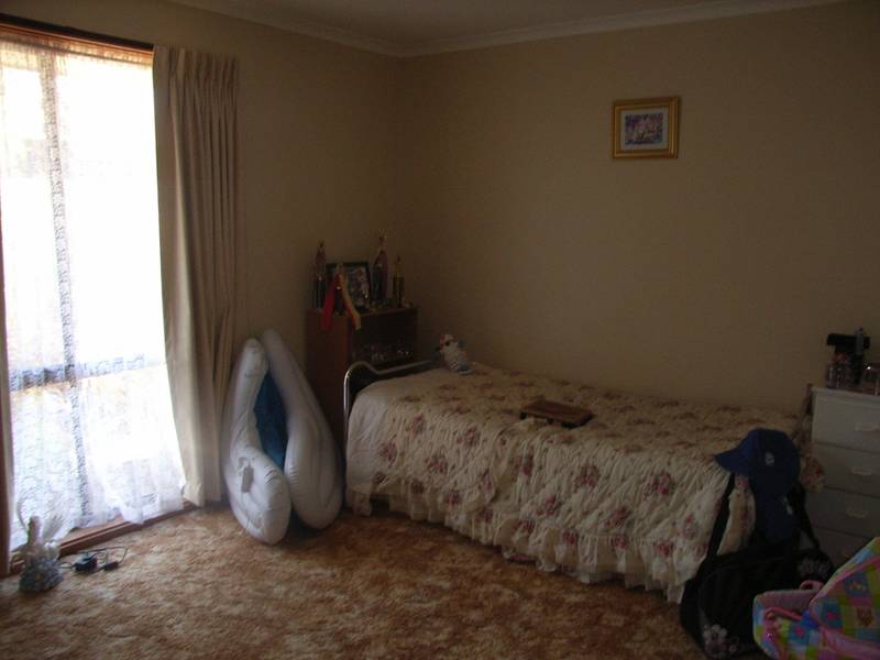 TWO OUT OF THE BOX Picture 2