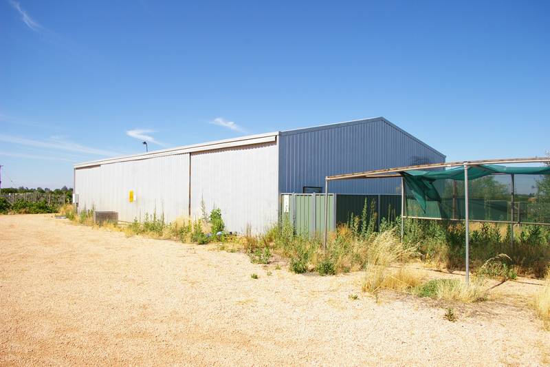 HOME - SHEDS - 15 ACRES - 51.8 MEGS WATER Picture 3