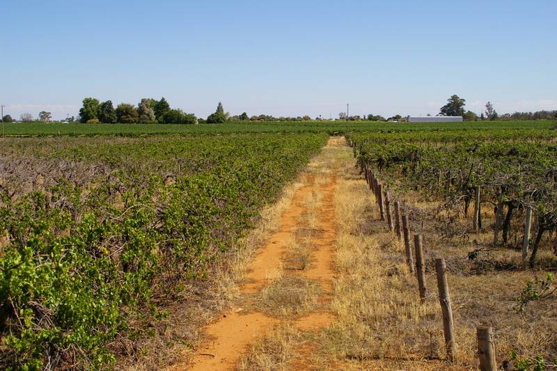 HOME - SHEDS - 15 ACRES - 51.8 MEGS WATER Picture 1