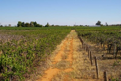 HOME - SHEDS - 15 ACRES - 51.8 MEGS WATER Picture