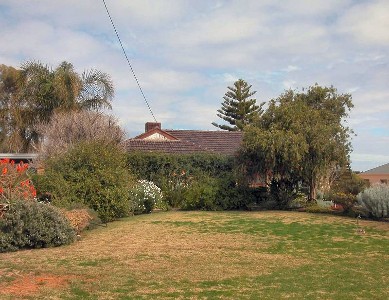 RURAL SETTING IN NICHOLS POINT Picture