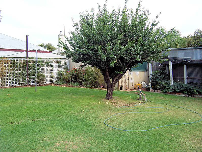 NOTHING COMPARES TO THIS GEM Picture 2